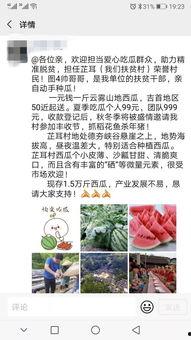 怎么邀请群众吃瓜,如何巧妙邀请群众共享欢乐时光