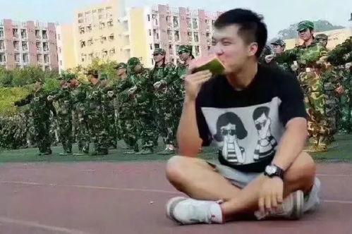 最美吃瓜群众吴琼,最美吃瓜群众，揭秘娱乐圈幕后风云