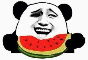 吃瓜群众亮眼视频大全,笑料百出，欢乐无限