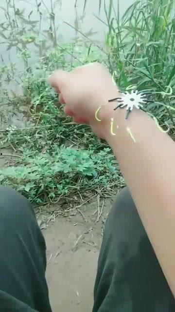 吃瓜群众的领悟完整版