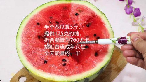 需要减肥了吃瓜群众,轻松瘦身，健康生活新起点