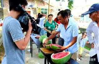 忻州疫情吃瓜群众,吃瓜群众视角下的防疫风云